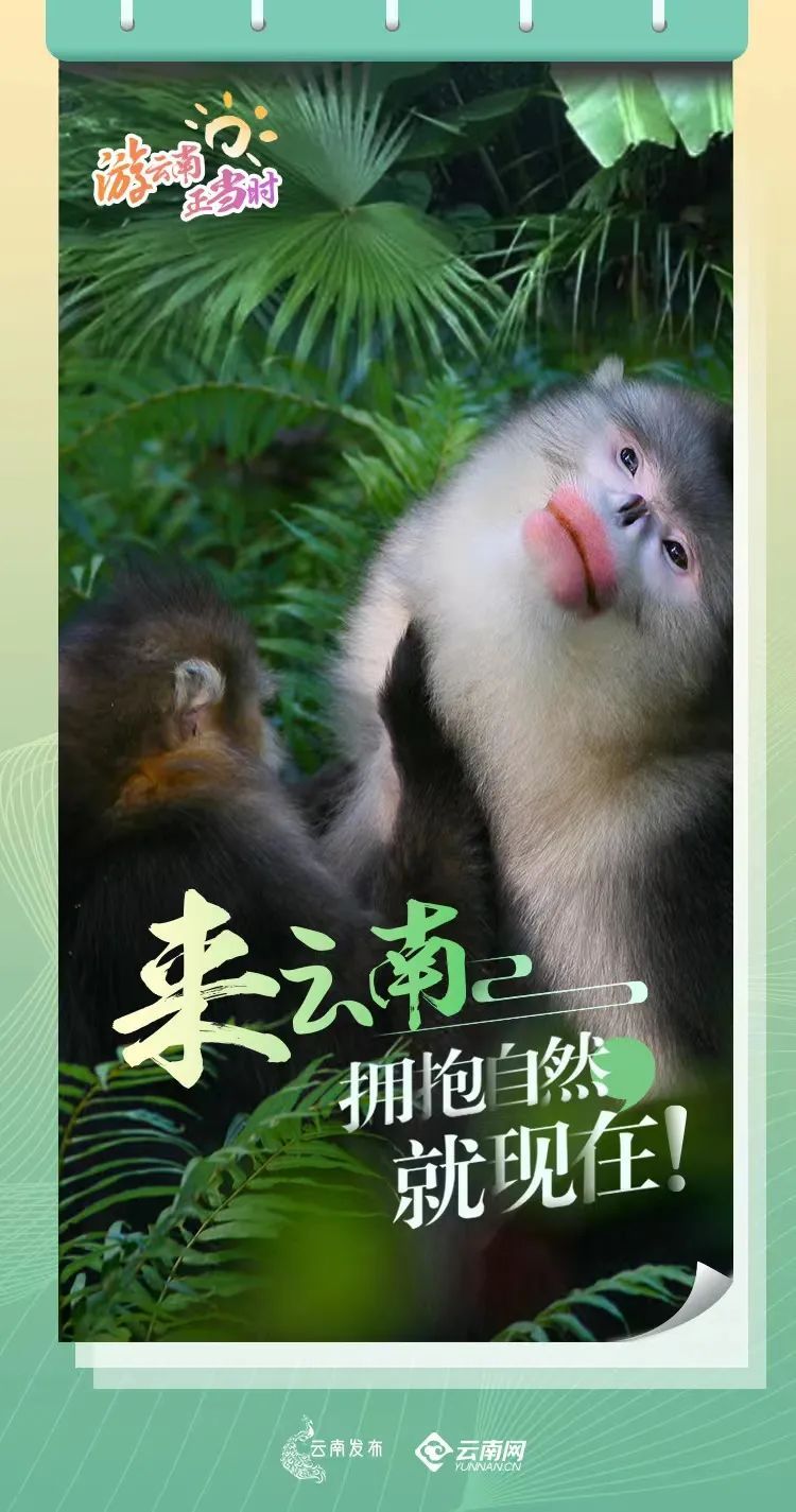 云南省文化和旅游厅