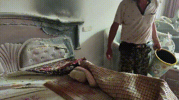 魅力禄劝