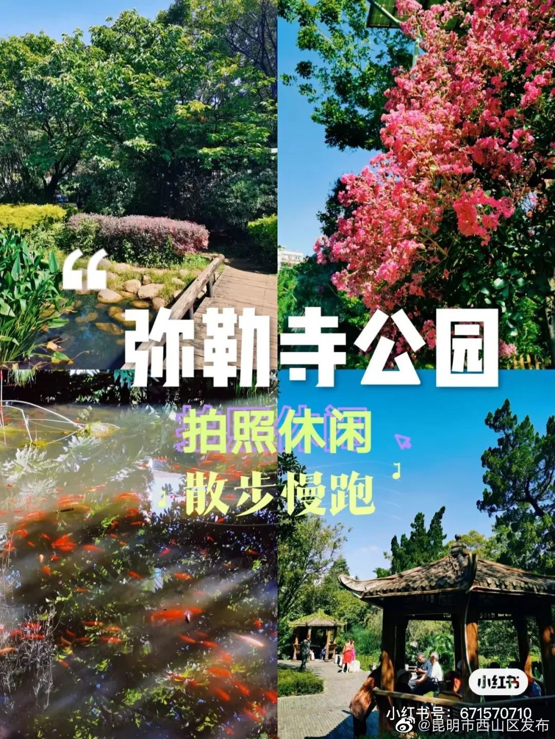 昆明市西山区发布