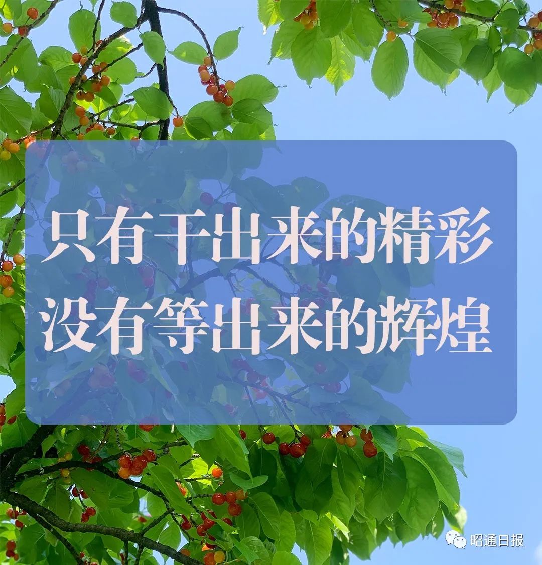 昭通日报