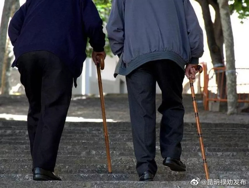 5年疯狂吸储132亿元！最高检发布打击整治养老诈骗犯罪典型案例