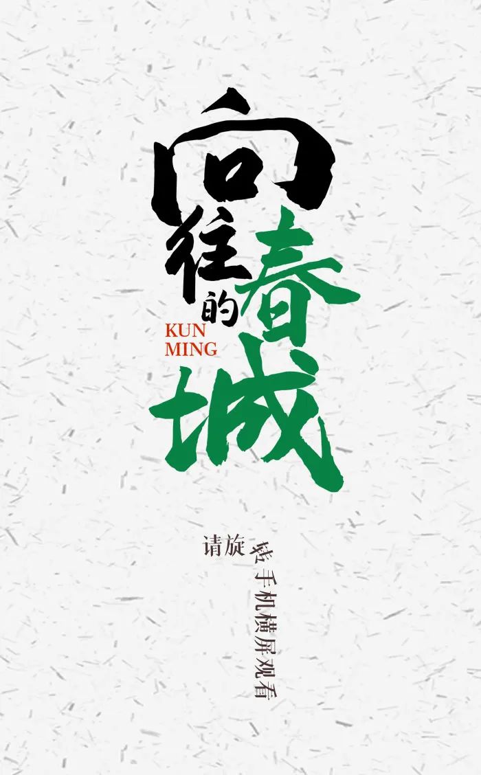 昆明市旅游监察支队