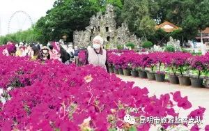 端午假期 云南旅游业加速回暖