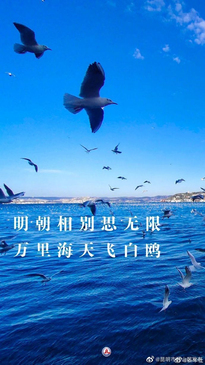 昆明市西山区发布