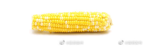 吃玉米不啃这儿浪费整根精华