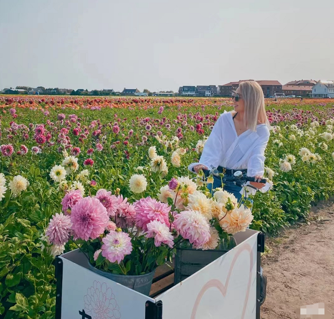 昆明滇池国家旅游度假区管理委员会(微信)