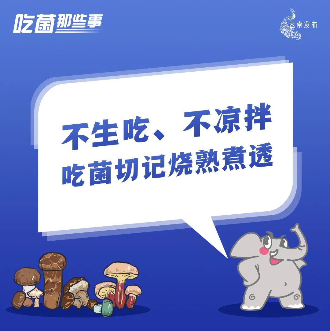 云南法制报