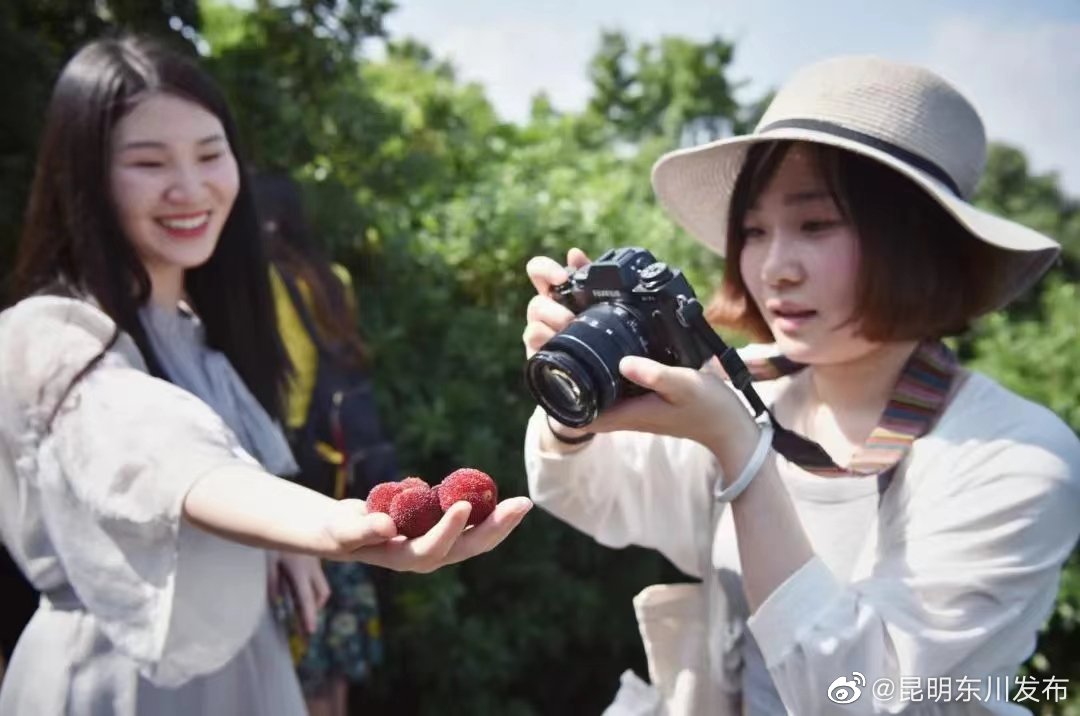 “昆明东川发布”微博