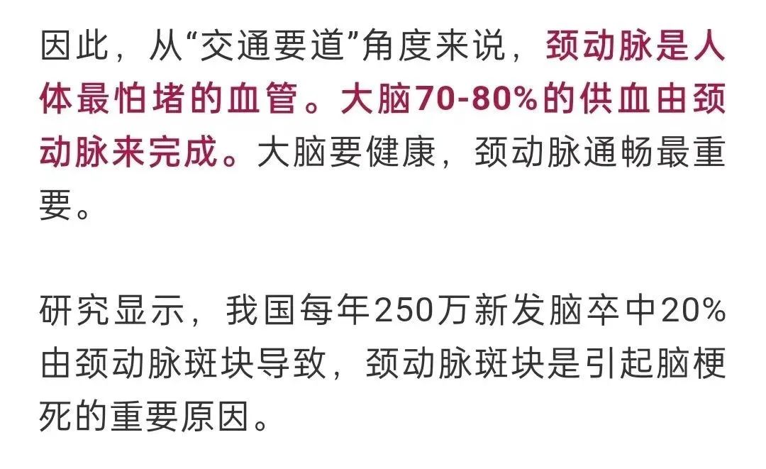 大理日报
