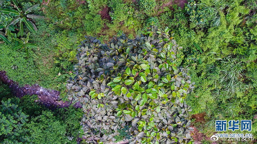 “云南发布”微博