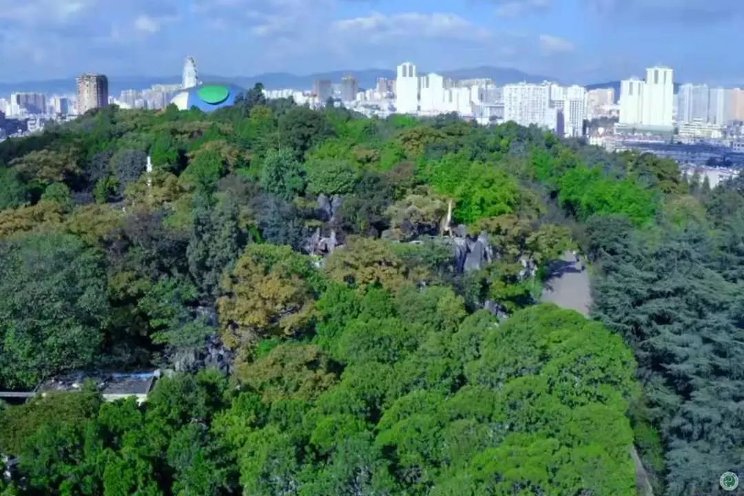 昆明动物园