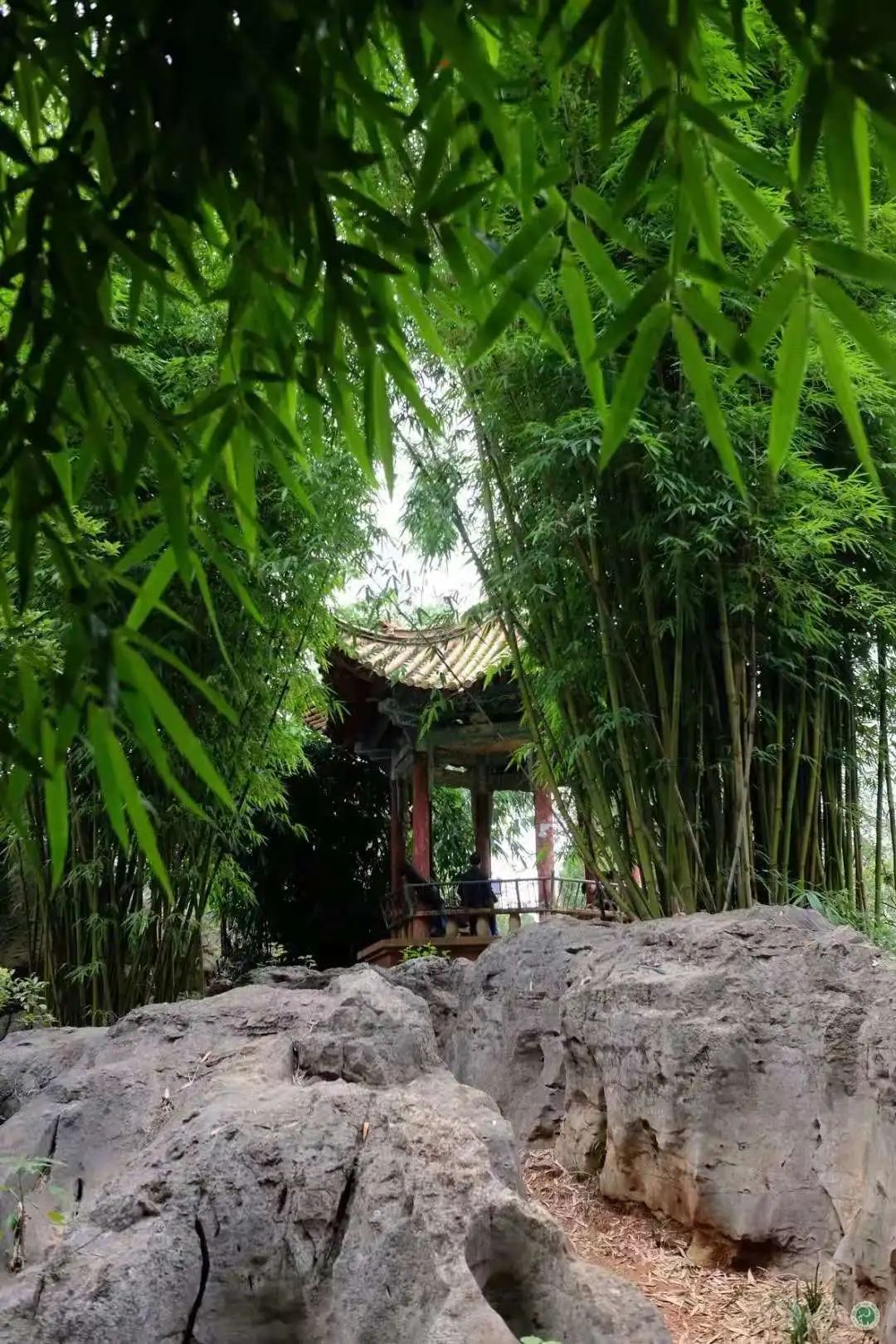 昆明动物园