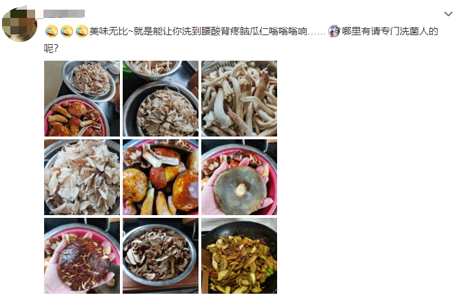 昆明信息港/cnkmxxg