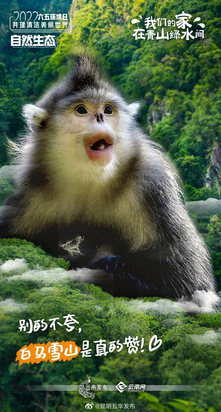 “昆明五华发布”微博