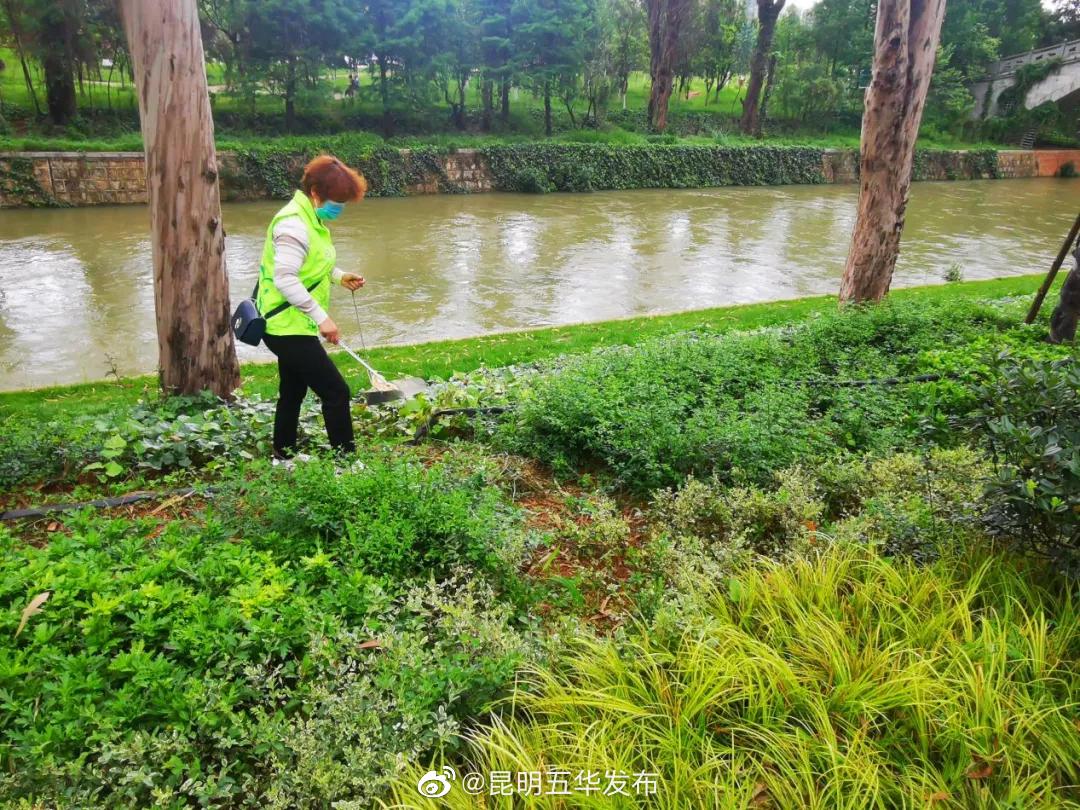 “昆明五华发布”微博