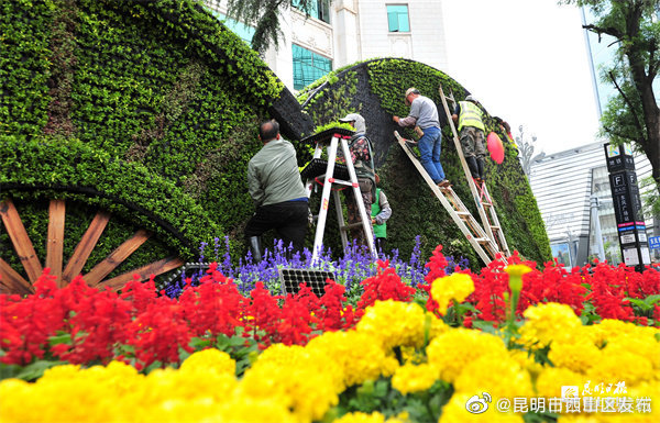 昆明市西山区发布