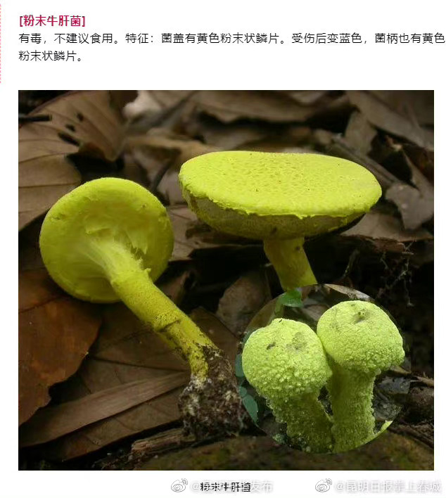 “昆明五华发布”微博