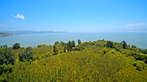 云南省文化和旅游厅