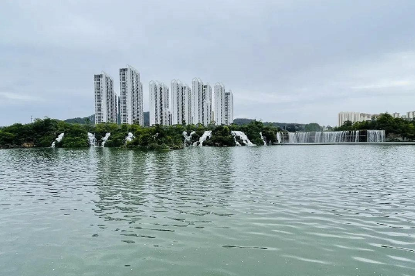 微观盘龙