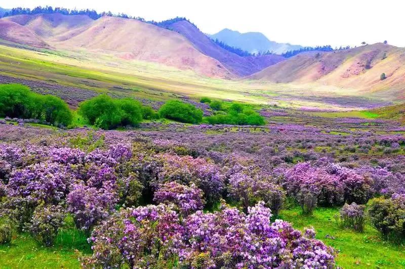 云南省文化和旅游厅