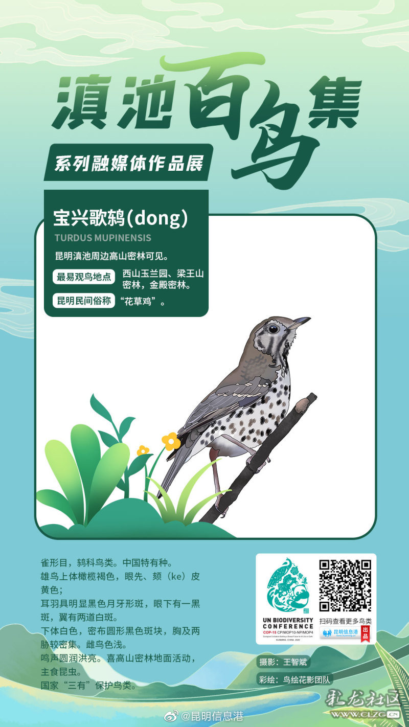 昆明信息港