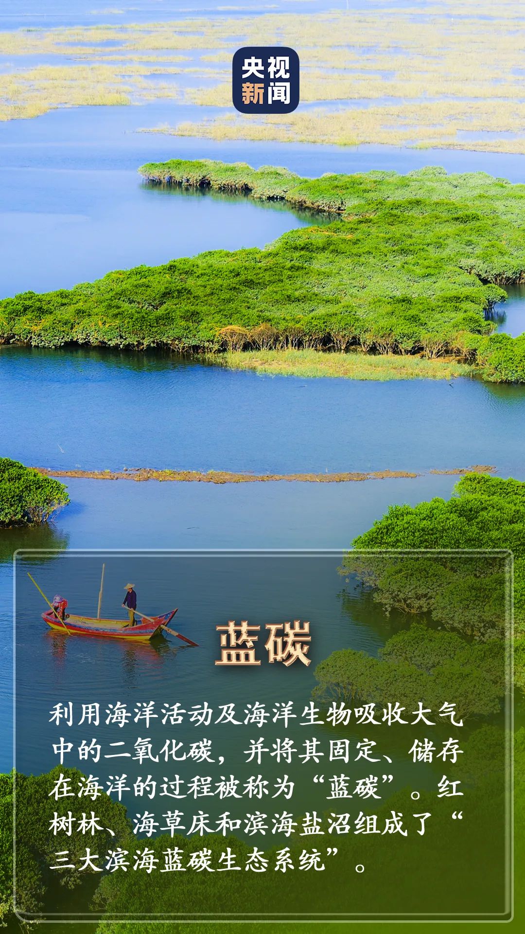 美丽云南微科普