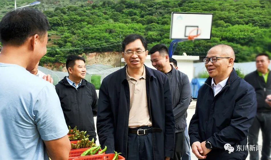 东川新闻