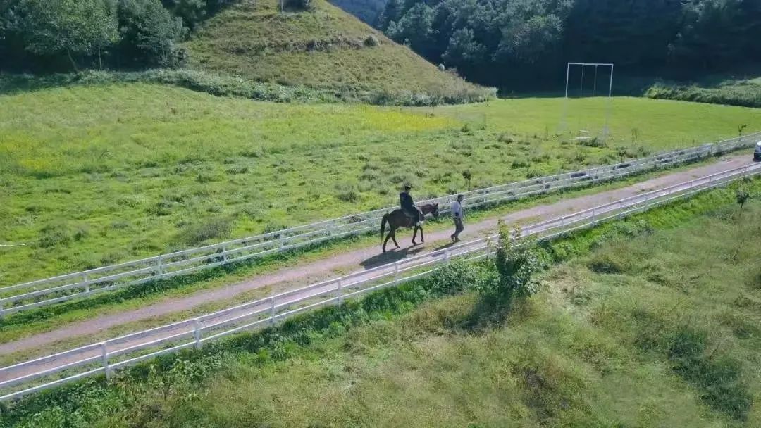 保山新闻网