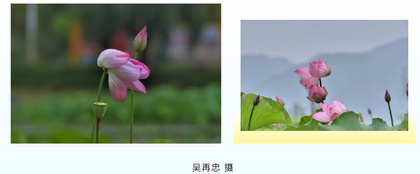 昆明国家高新区发布