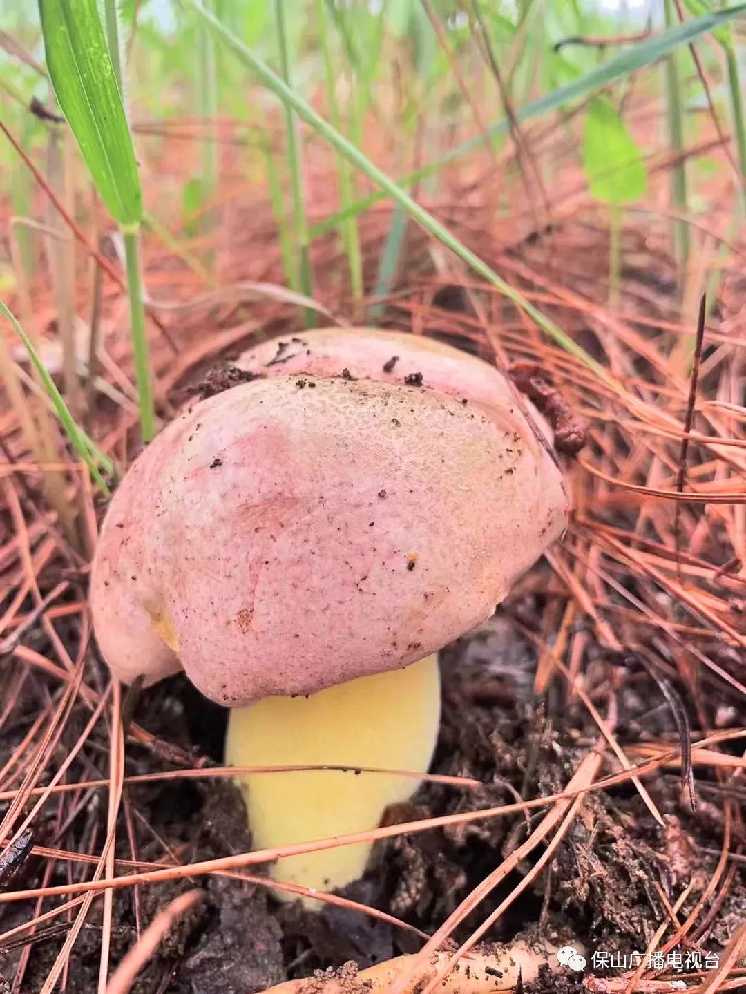 保山广播电视台
