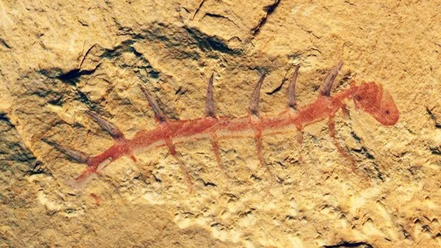 云南省文化和旅游厅