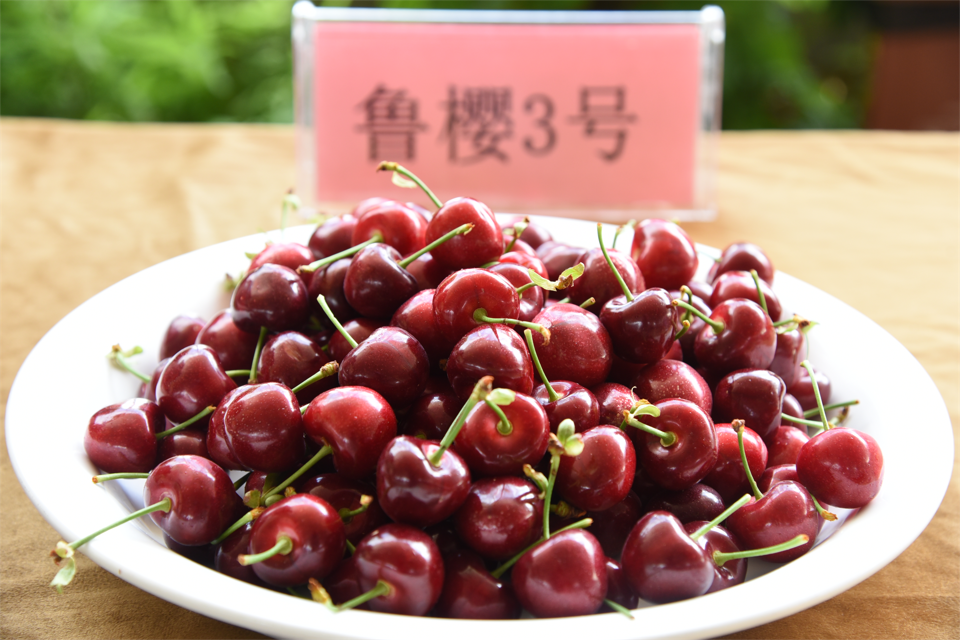 丽江日报