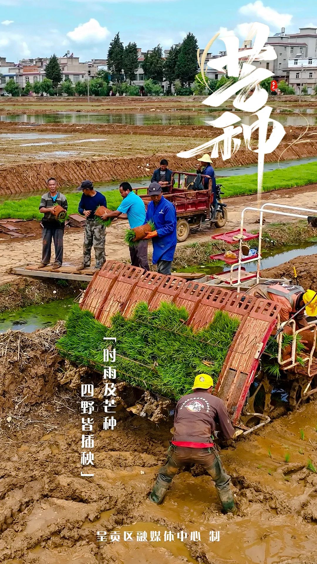 呈贡发布
