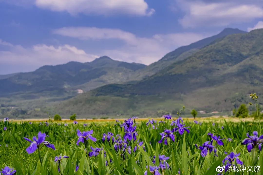 腾冲文旅微博