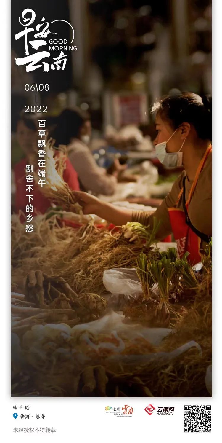 云南省人民政府网