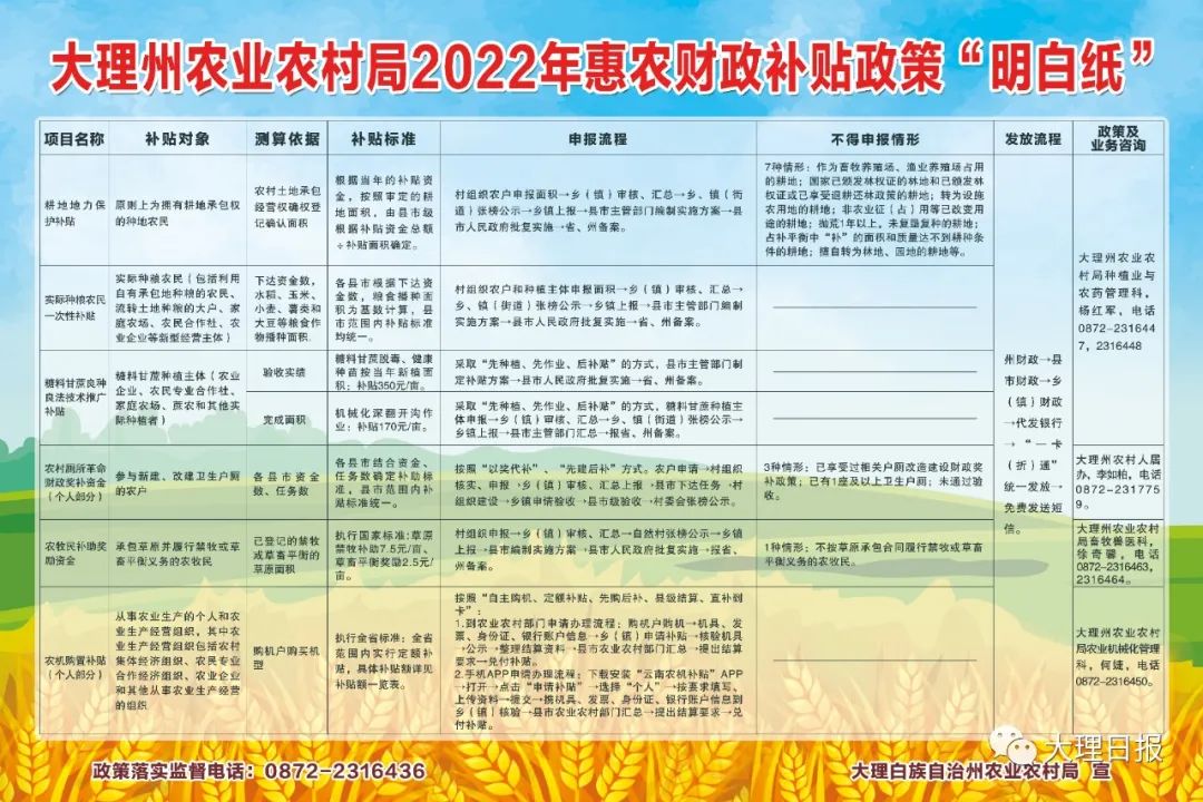 大理日报