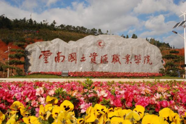 大理日报