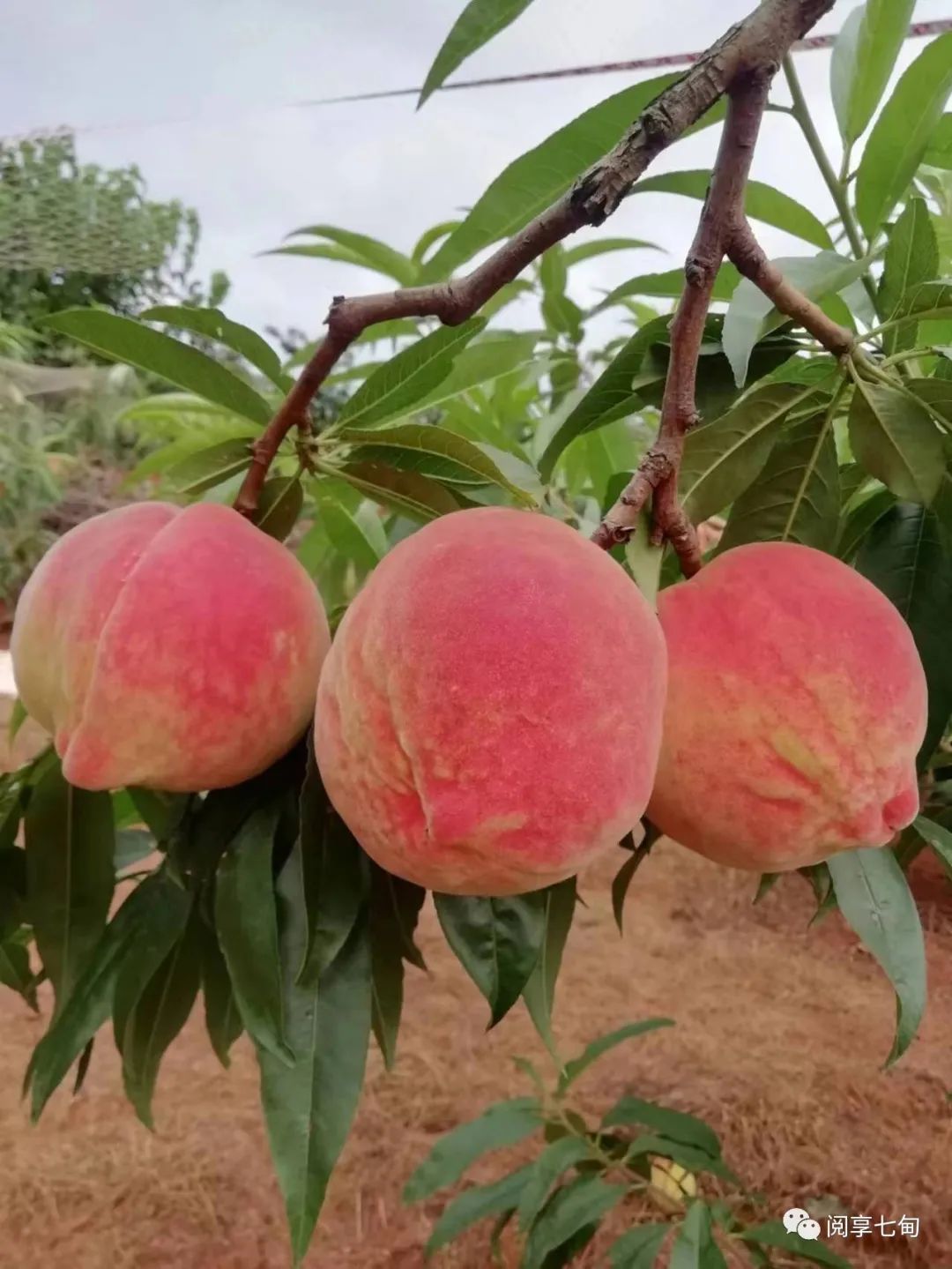昆明阳宗海风景名胜区(微信)