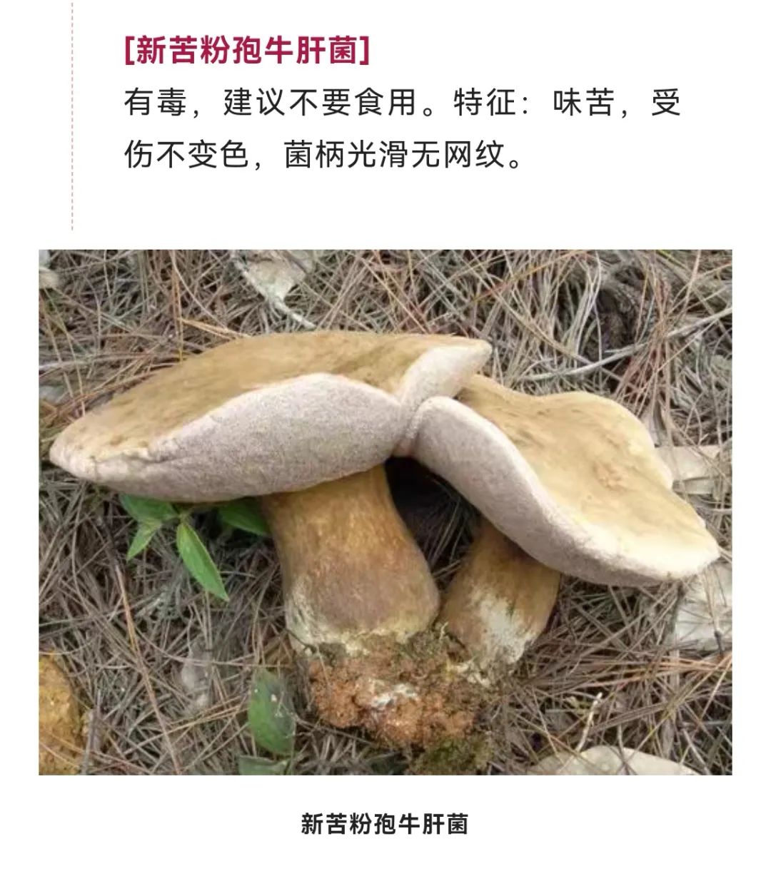 美丽云南微科普