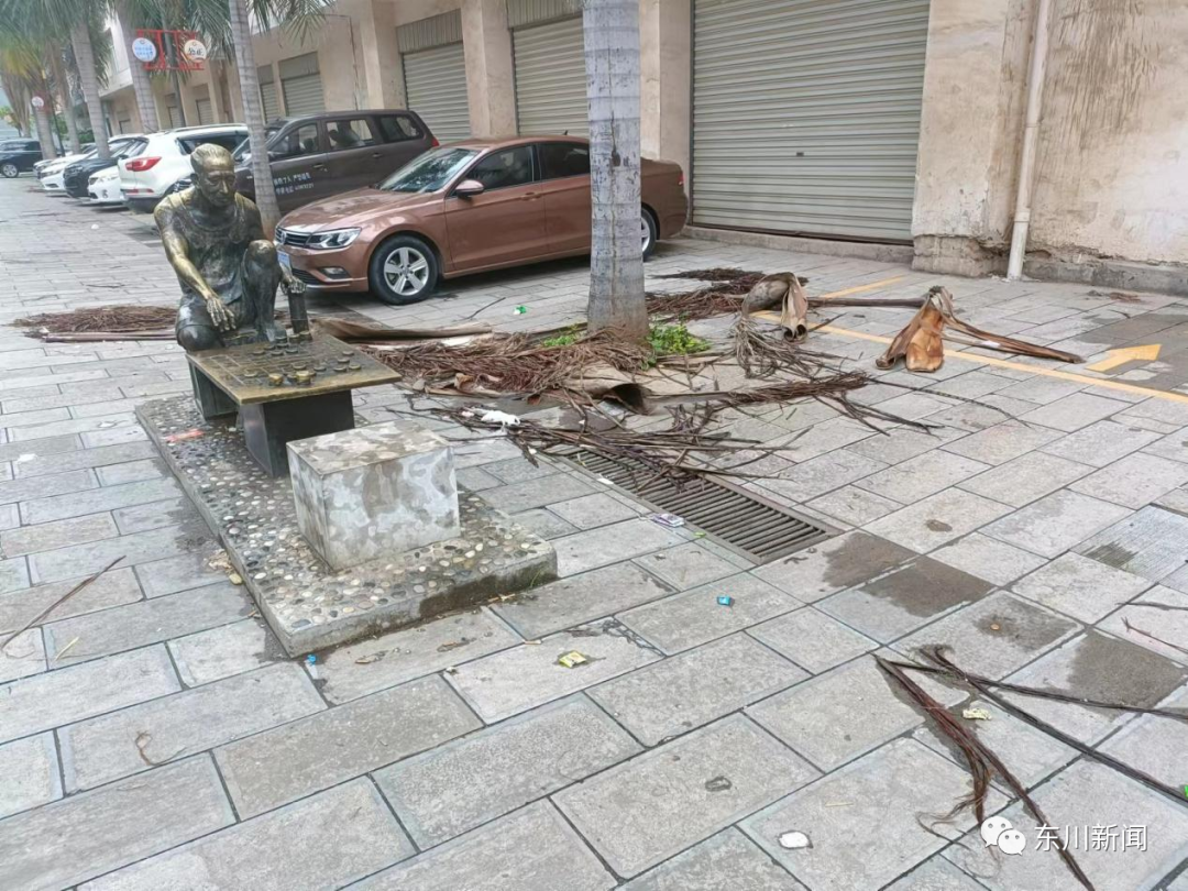 东川新闻