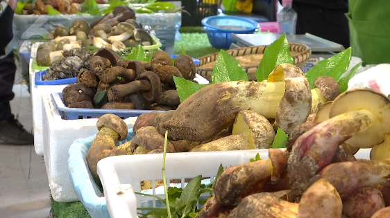 昆明信息港/cnkmxxg