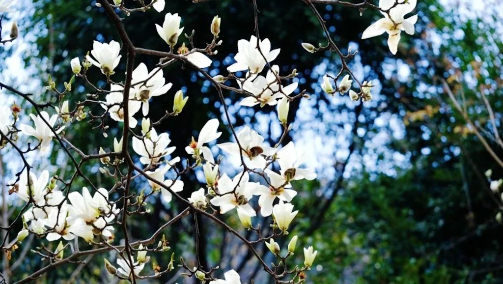 昆明信息港/cnkmxxg