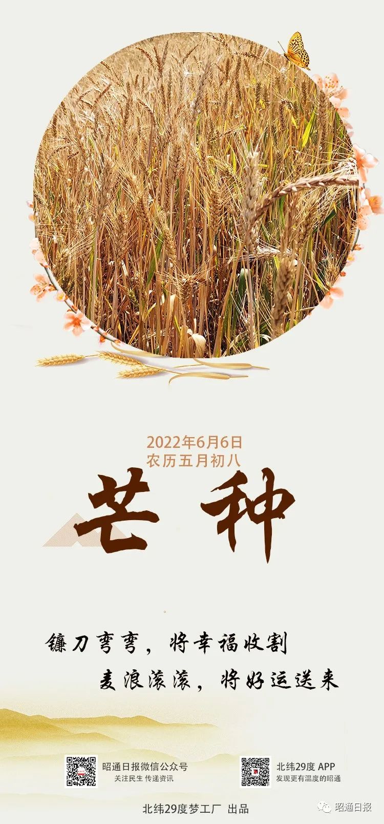 昭通日报