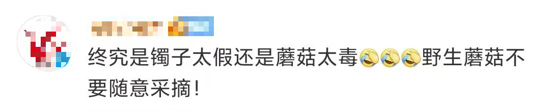 掌上春城