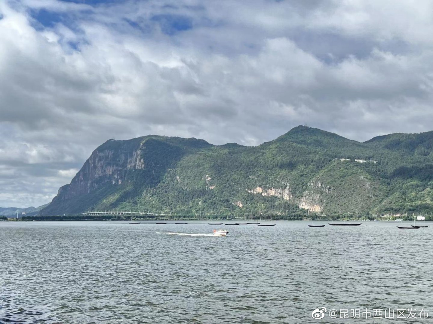 昆明市西山区发布