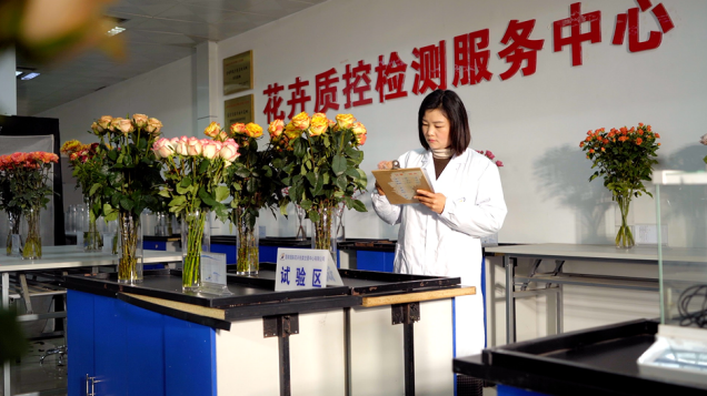 云南省文化和旅游厅