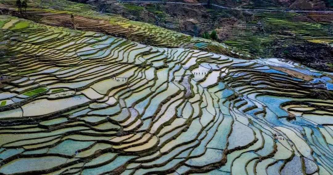 微丽江
