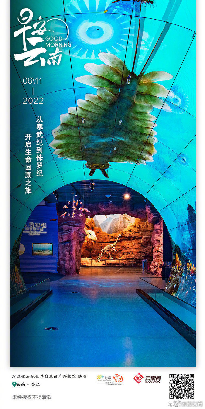 追溯生命起源脉络的圣地 万亿化石堆出的世界遗产