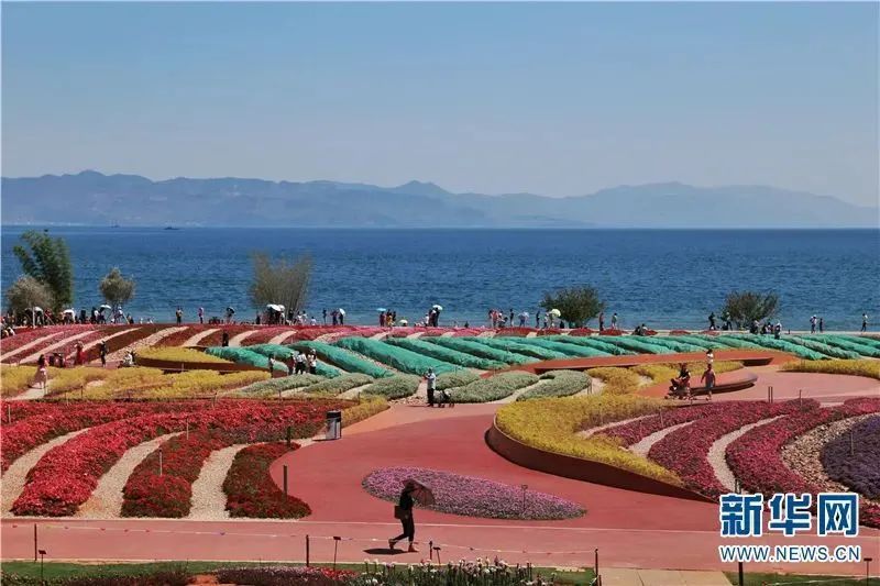 云南省文化和旅游厅