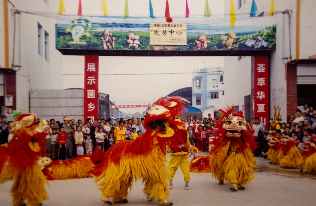 云南省文化和旅游厅